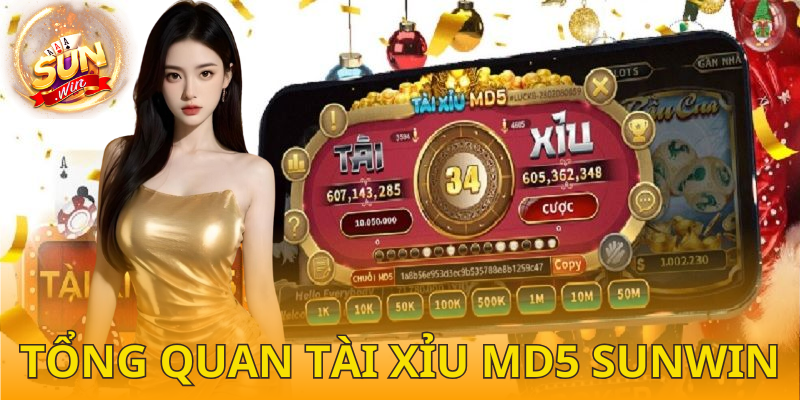 Những điều bạn cần biết về tài xỉu MD5