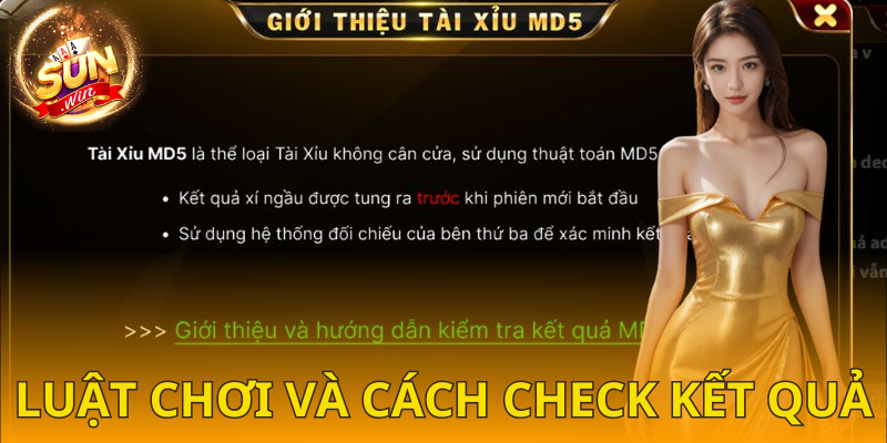 Hướng dẫn chơi và kiểm tra kết quả tài xỉu MD5