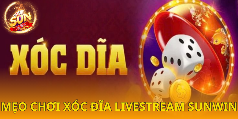  Những mẹo cá cược xóc đĩa online được cao thủ chia sẻ